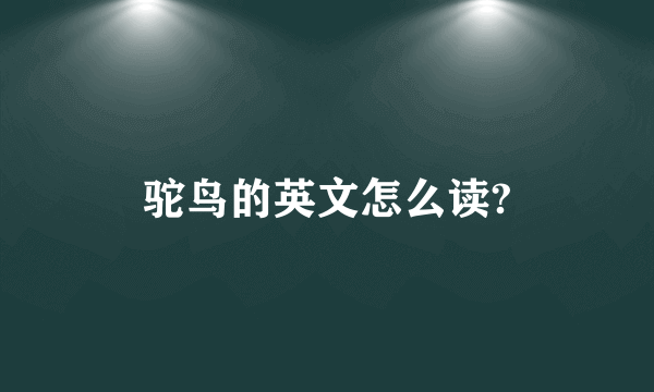 驼鸟的英文怎么读?