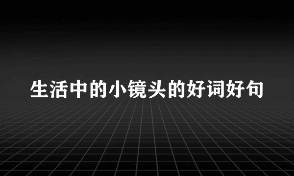 生活中的小镜头的好词好句