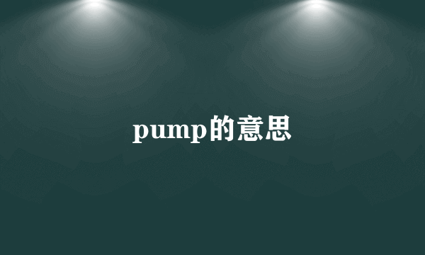 pump的意思