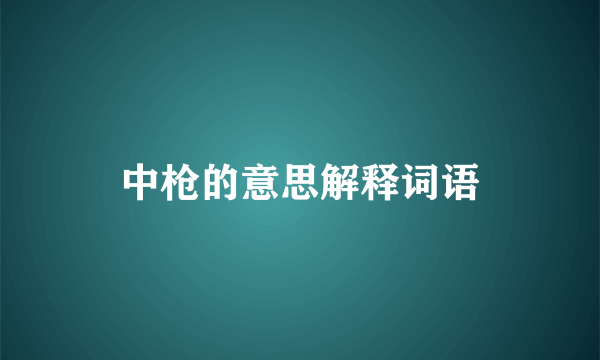 中枪的意思解释词语