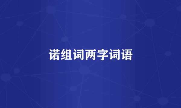 诺组词两字词语