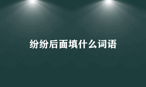 纷纷后面填什么词语