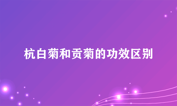 杭白菊和贡菊的功效区别