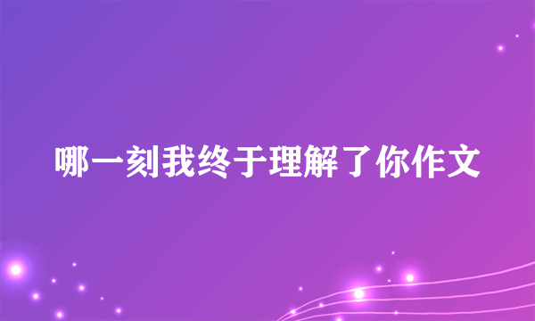 哪一刻我终于理解了你作文