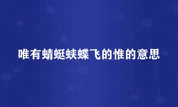 唯有蜻蜓蛱蝶飞的惟的意思