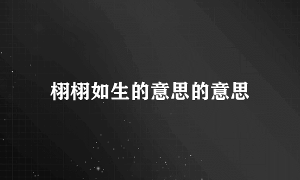 栩栩如生的意思的意思