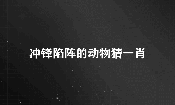 冲锋陷阵的动物猜一肖