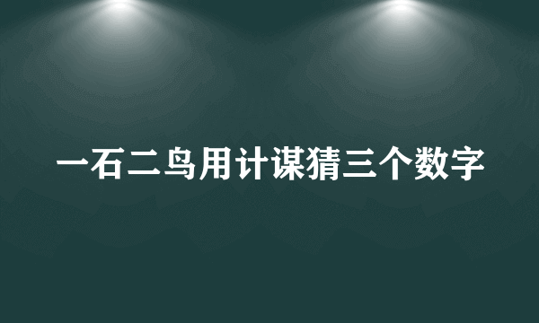 一石二鸟用计谋猜三个数字