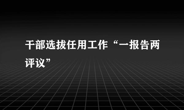干部选拔任用工作“一报告两评议”