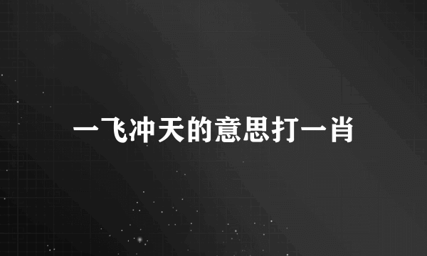 一飞冲天的意思打一肖