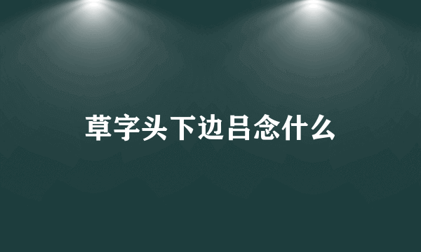 草字头下边吕念什么