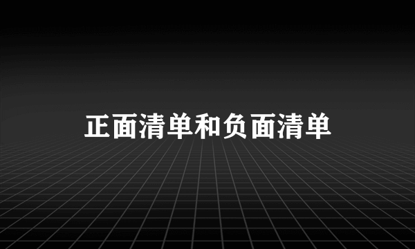 正面清单和负面清单