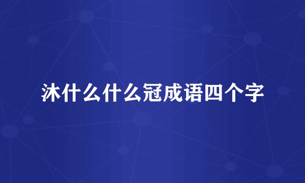沐什么什么冠成语四个字