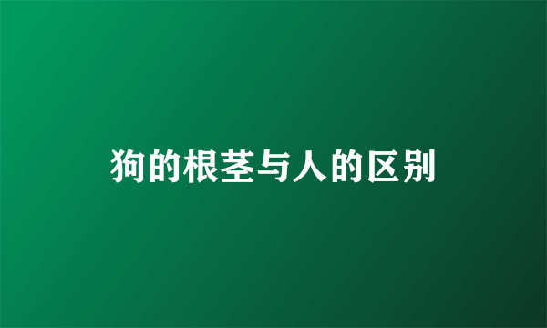 狗的根茎与人的区别