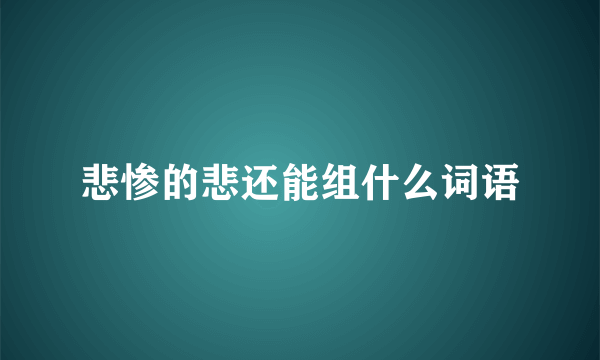 悲惨的悲还能组什么词语