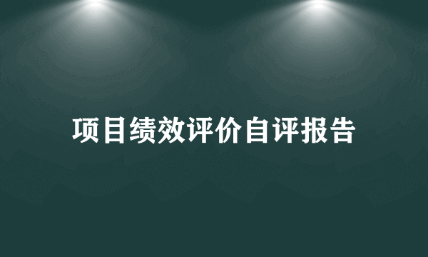 项目绩效评价自评报告