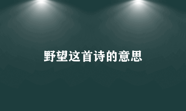 野望这首诗的意思