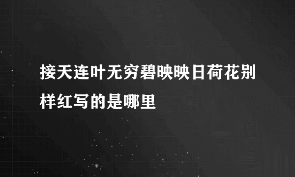 接天连叶无穷碧映映日荷花别样红写的是哪里