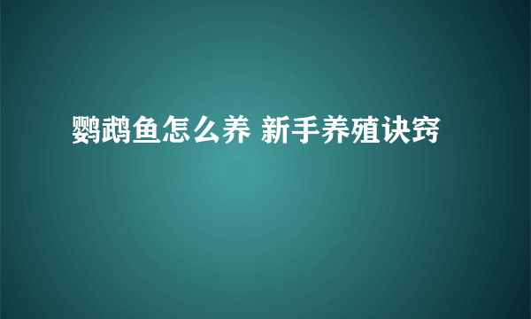 鹦鹉鱼怎么养 新手养殖诀窍