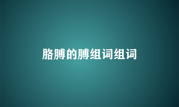胳膊的膊组词组词