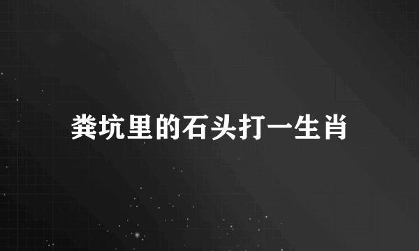 粪坑里的石头打一生肖