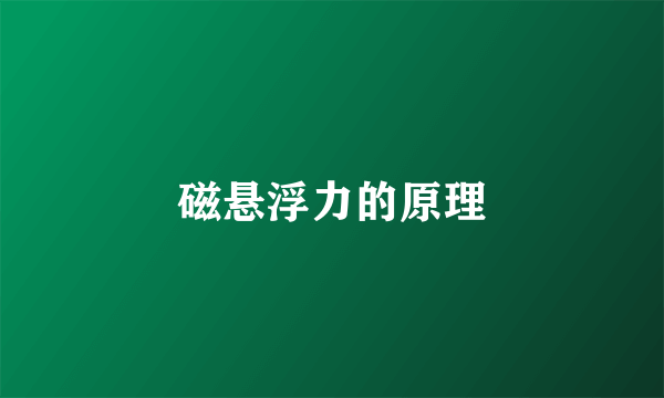 磁悬浮力的原理