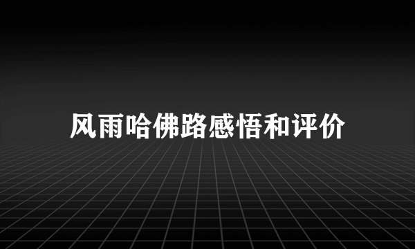 风雨哈佛路感悟和评价