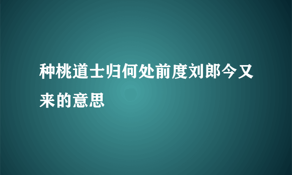 种桃道士归何处前度刘郎今又来的意思