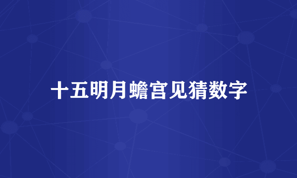 十五明月蟾宫见猜数字