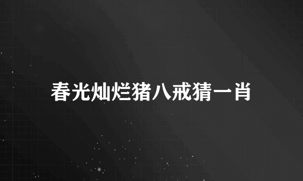 春光灿烂猪八戒猜一肖