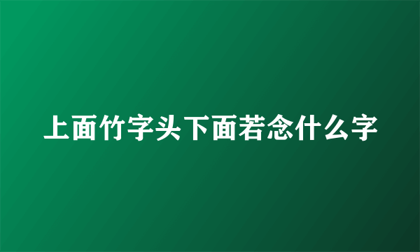 上面竹字头下面若念什么字