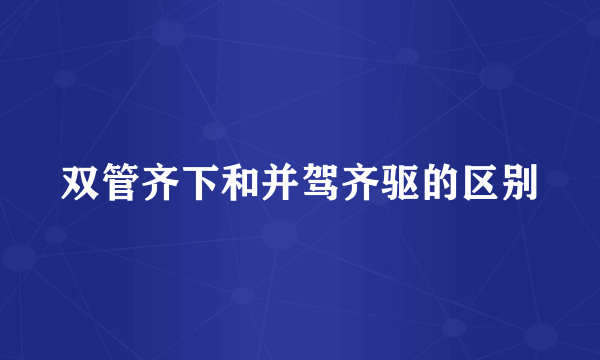 双管齐下和并驾齐驱的区别