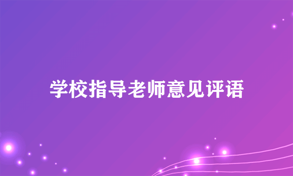 学校指导老师意见评语