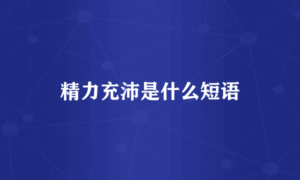 精力充沛是什么短语
