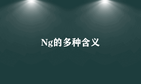 Ng的多种含义