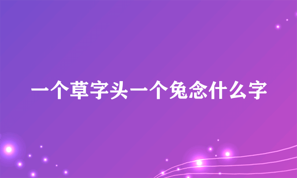 一个草字头一个兔念什么字