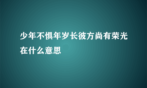 少年不惧年岁长彼方尚有荣光在什么意思
