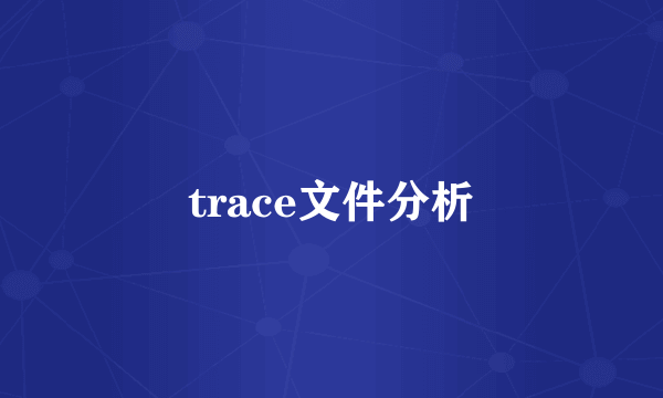 trace文件分析