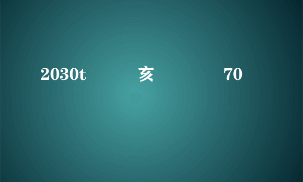 2030t�亥謬�70 