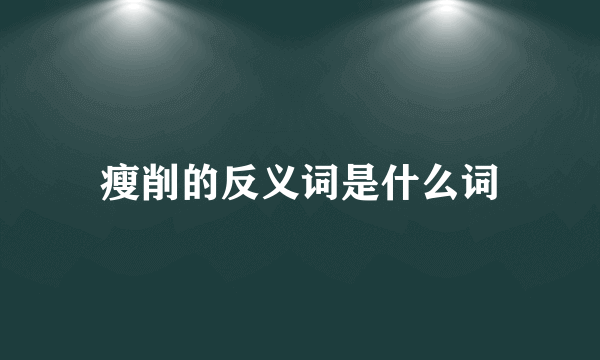 瘦削的反义词是什么词