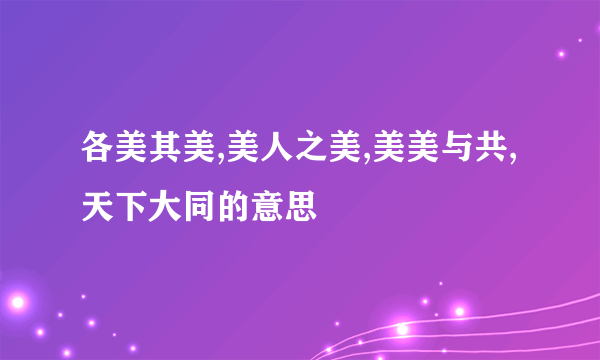 各美其美,美人之美,美美与共,天下大同的意思