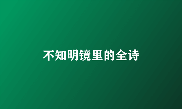 不知明镜里的全诗