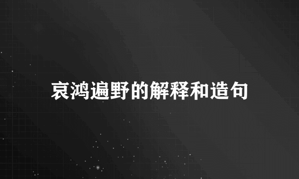 哀鸿遍野的解释和造句