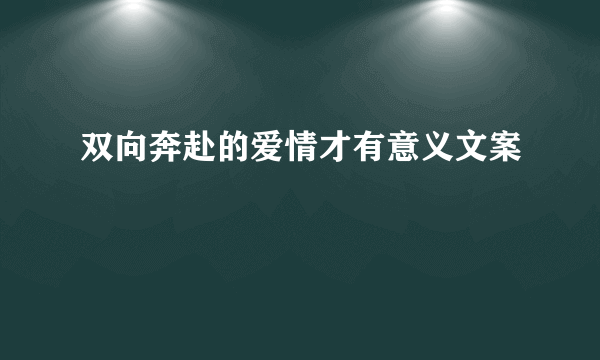 双向奔赴的爱情才有意义文案