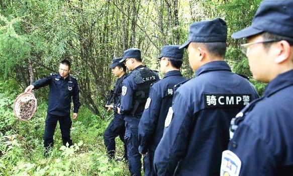 森林公安是干什么的?