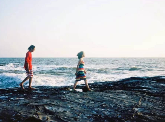 网红猫力宣布顺利产女,她是怎样走红的呢?