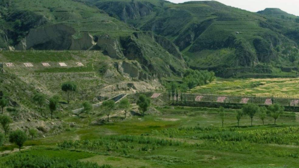 坪坝的意思，坪坝的拼音，坪坝的解释，坪坝是什么意思