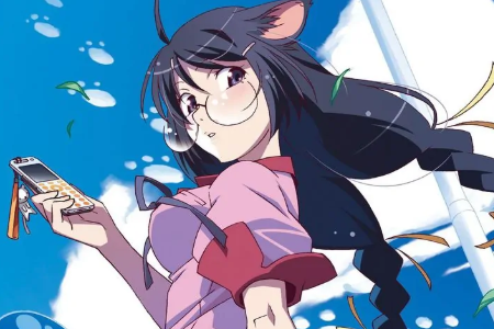 如何评价羽川翼?