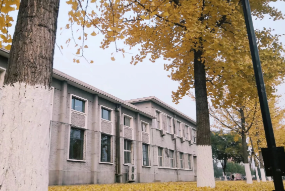 秋天的声音有哪些