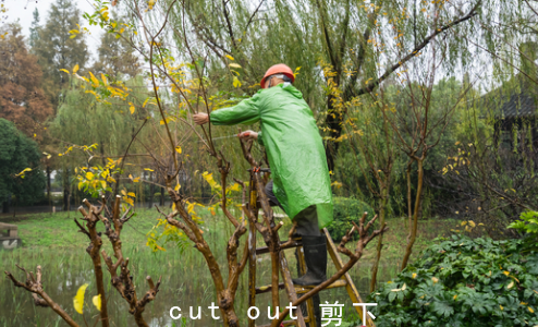 cut out与cut off的区别是什么？